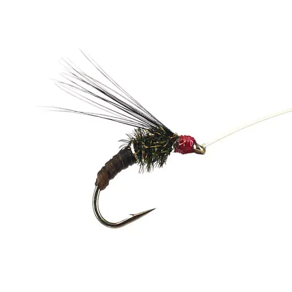 Franz Bipeack Brown ninfa para cuerda