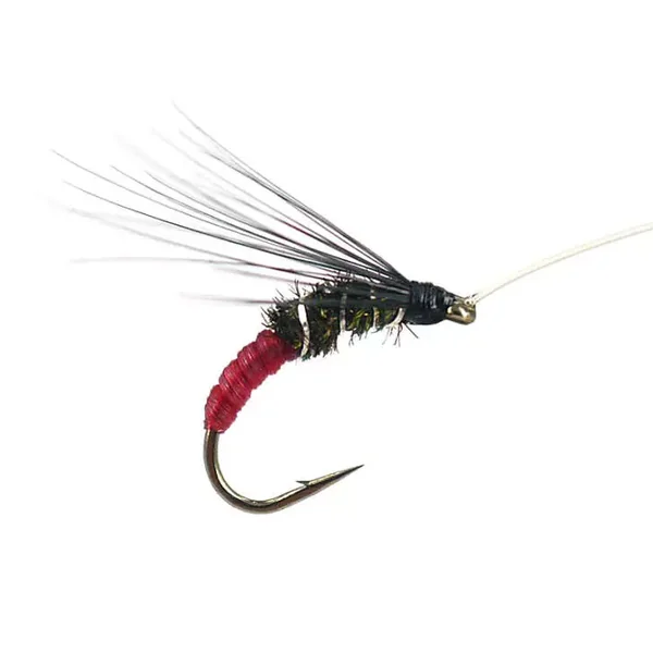 Franz Bipeack Red ninfa para cuerda