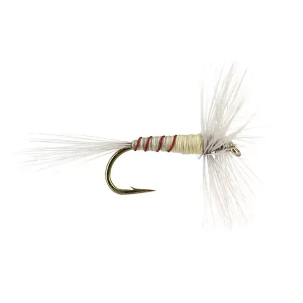 French PL Cream Ribbed mosca seca