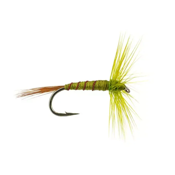 French PL Olive Ribbed mosca seca