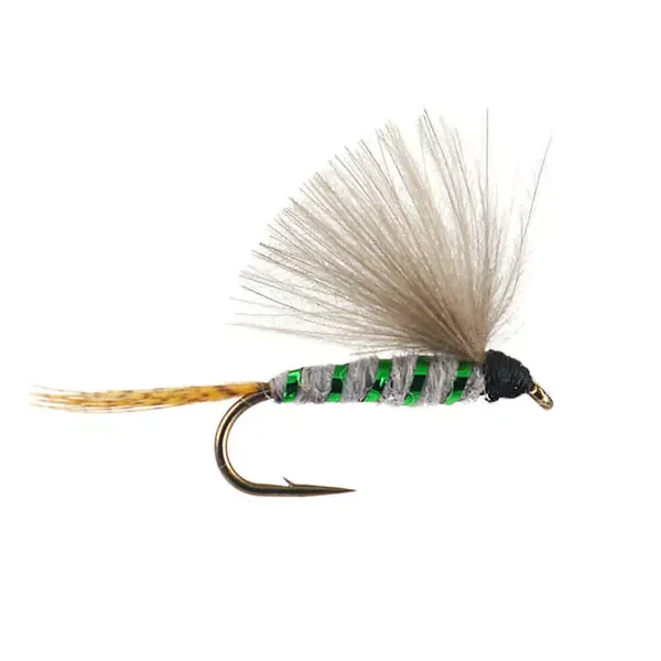 G5 Shining Dun - Green mosca tímalo