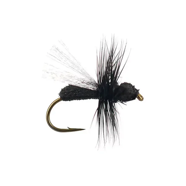 G8 Black Ant 02 mosca tímalo