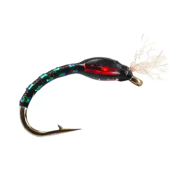 Ginos Black Green Holo Buzzer ninfa