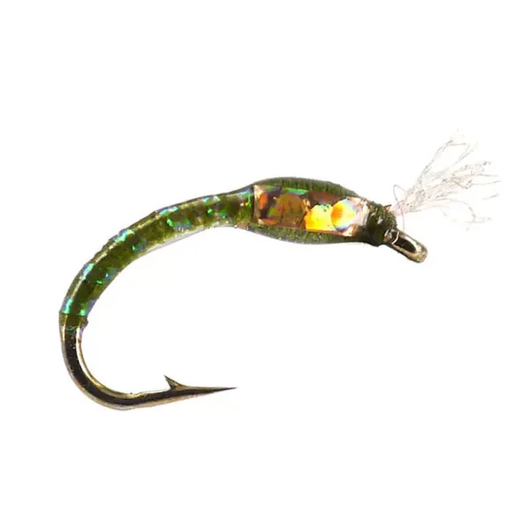 Ginos Olive Gold Holo Buzzer ninfa