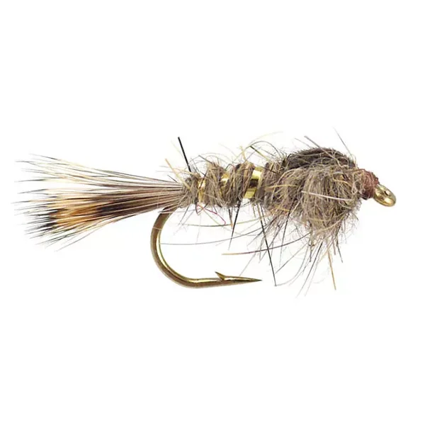 Gold Ribbed Hare's Ear ninfa