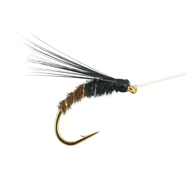 Gold Selection BI Olive Brown ninfa para cuerda