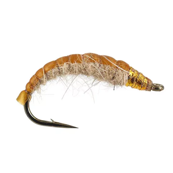 Golden Czech Nymph Superb ninfa checa