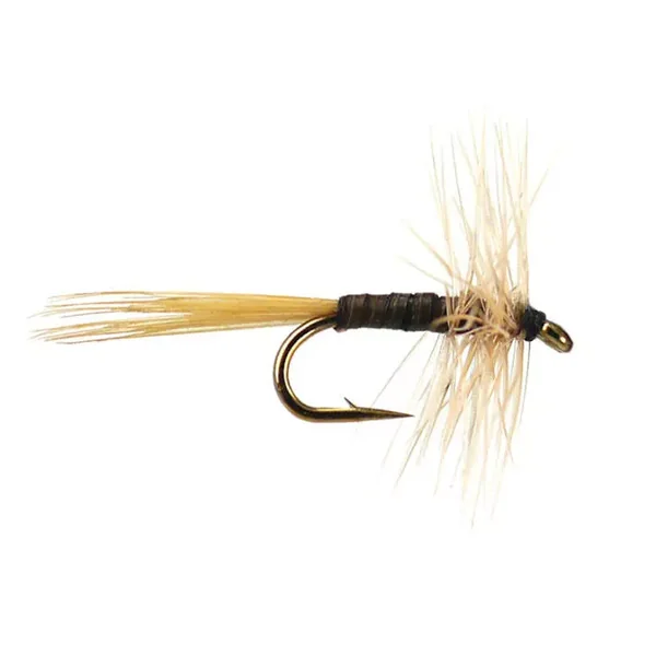 Gray Fox Variant mosca seca