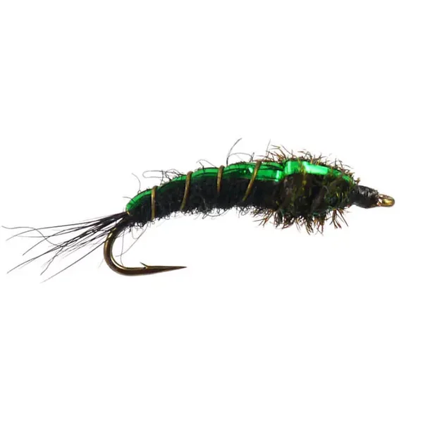 Green Back Peacock Nymph ninfa