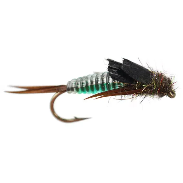 Green Heavy Bodyglass Stonefly ninfa plecóptero