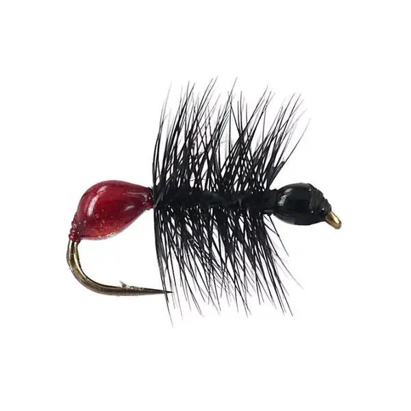 Hard Body Bicoloured Red Black Ant hormiga