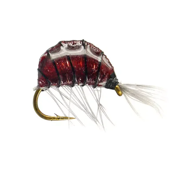 Heavy Epoxy Shrimp Dark12 ninfa