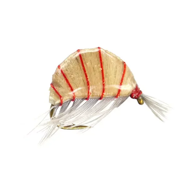 Heavy Epoxy Shrimp Natural ninfa