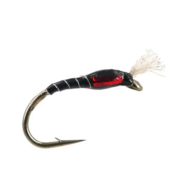 Highlander Buzzer Black Red ninfa
