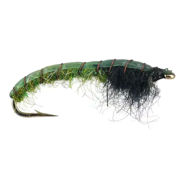 Hydropsyche Lightweigth Longhook ninfa