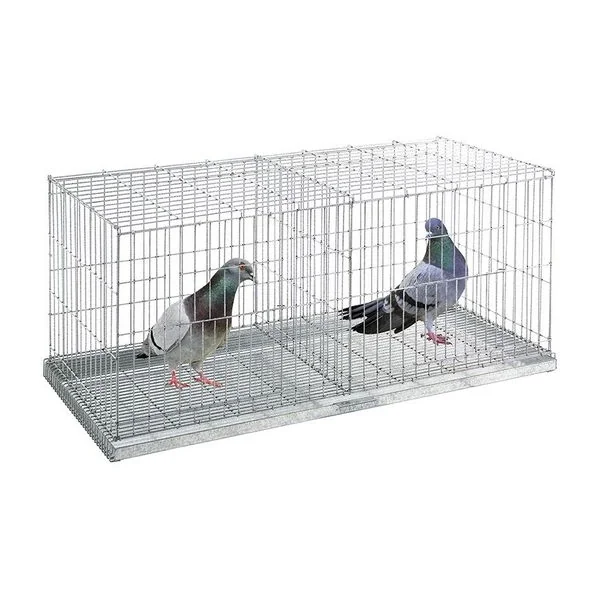Jaula de exposición con 2 departamentos para palomas