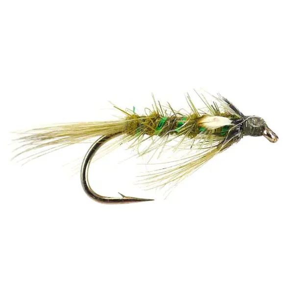 JC Pseudo Diawl Bach Olive ninfa