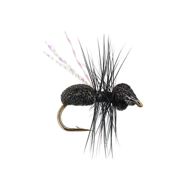 Magic Wing Flying Ant hormiga