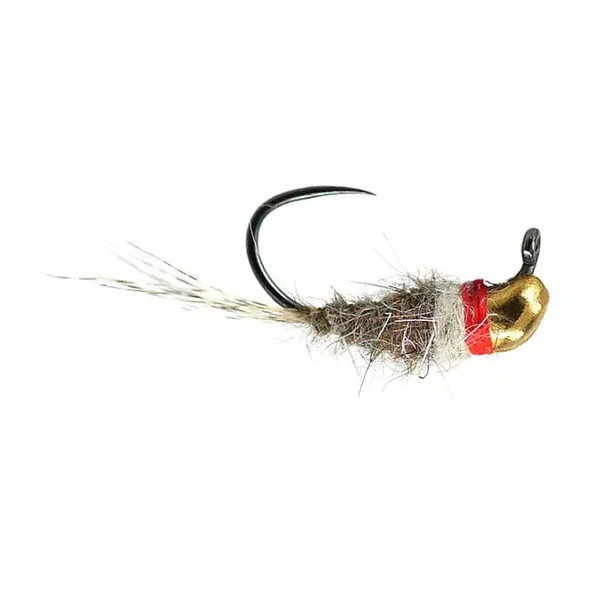 Marks Hare's White Dream Javi TG BL ninfa tungsteno