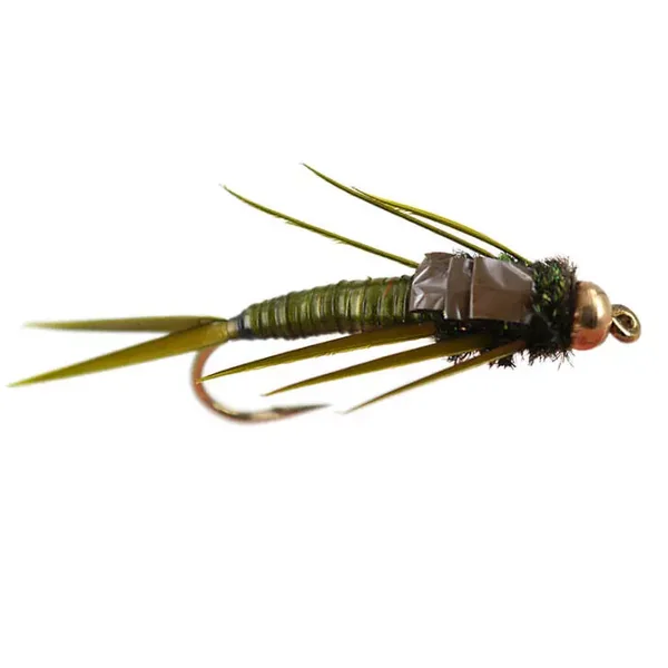 Marks Simple Olive Stonefly ninfa plecóptero