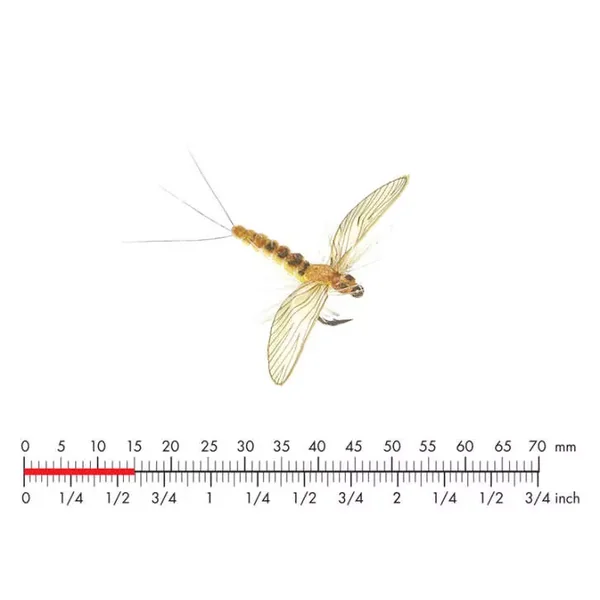 Mayfly Spent 3 Sulphur 15mm mosca JSon