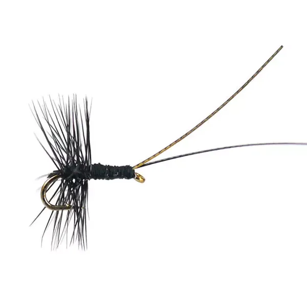 Midge Pupa Black mosca seca