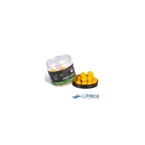 MONSTER SHRIMP SYRUP - Imagen 18