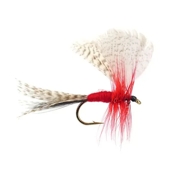 Montreal Mayfly Dun mosca seca