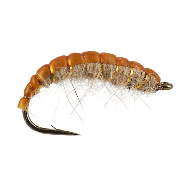 Natural Czech Nymph ninfa checa