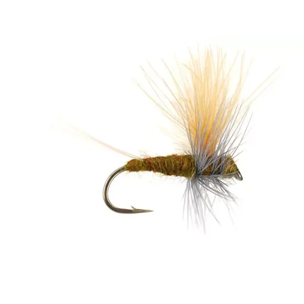 Olive Dun Cut Thorax - Dark Olive mosca trucha tímalo