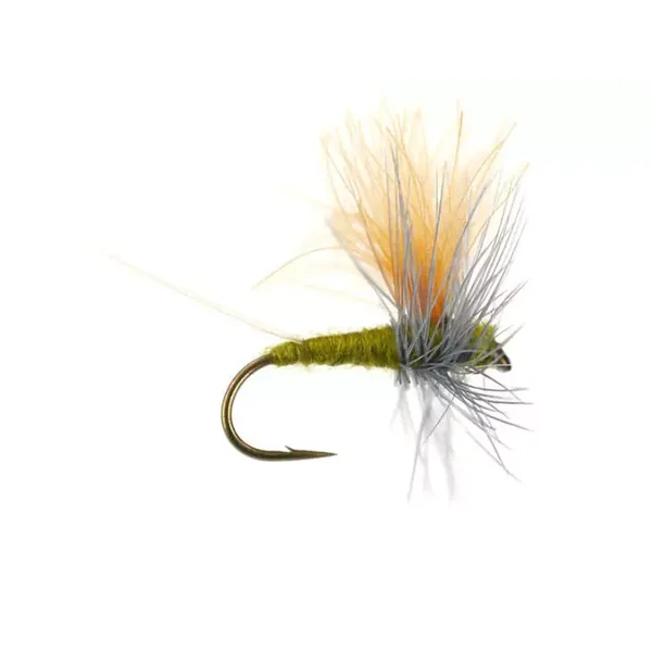 Olive Dun Cut Thorax - Medium Olive mosca trucha tímalo