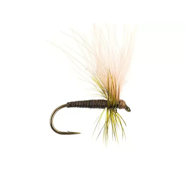 Olive Quill CDC - Medium Olive mosca trucha tímalo