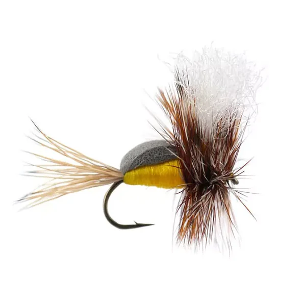 Oswald's Fumpy Yellow mosca seca