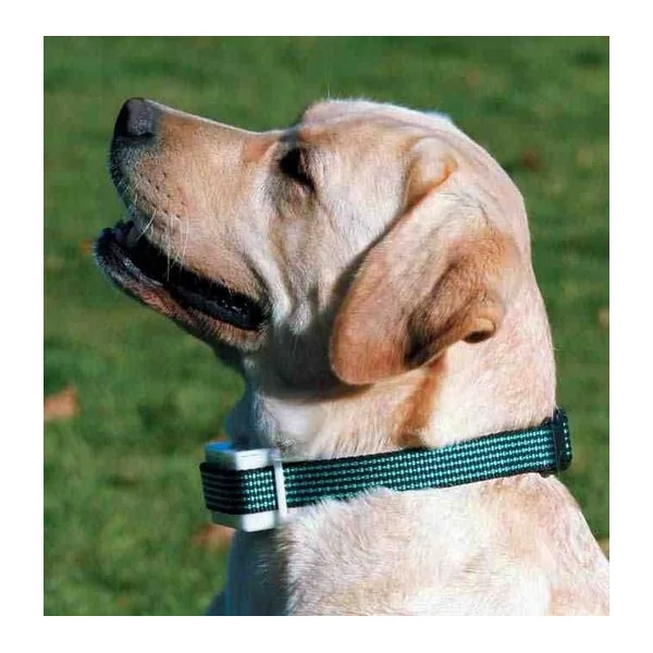 Pack collar anti ladrido - ABOISTOP - Indoloro