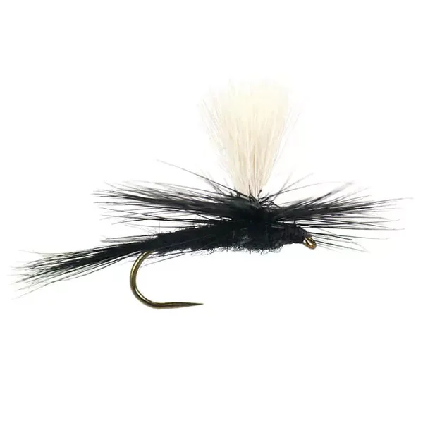 Parachute Black Gnat BL mosca seca