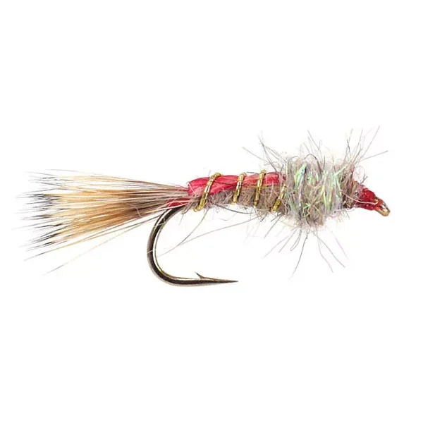 Pearl G.R.H. Ear ninfa
