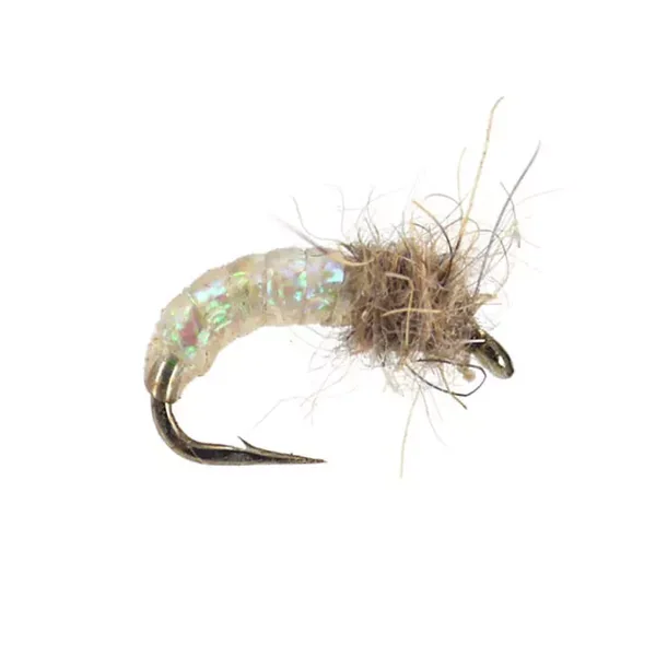 Pearl G.R.H. Ear Scud ninfa