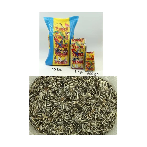 PIPAS IREGUI VINCI 3 KG. -3-
