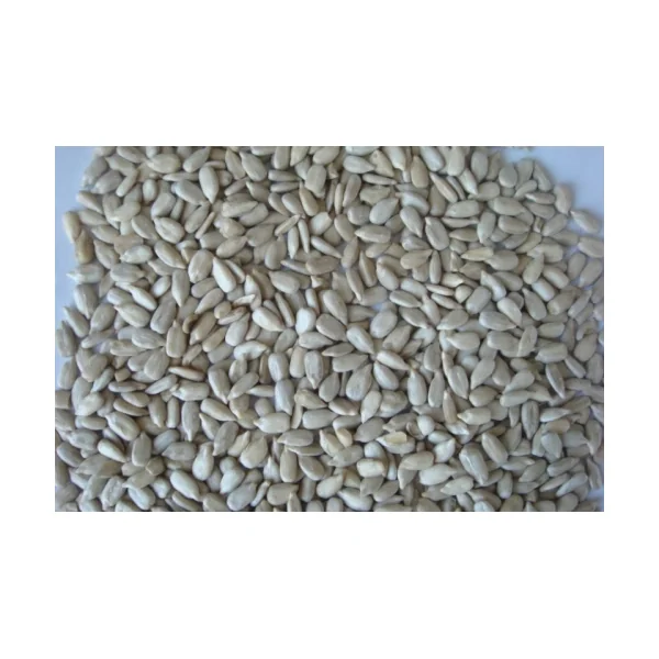 PIPAS PELADAS 4 KG.PRODAC