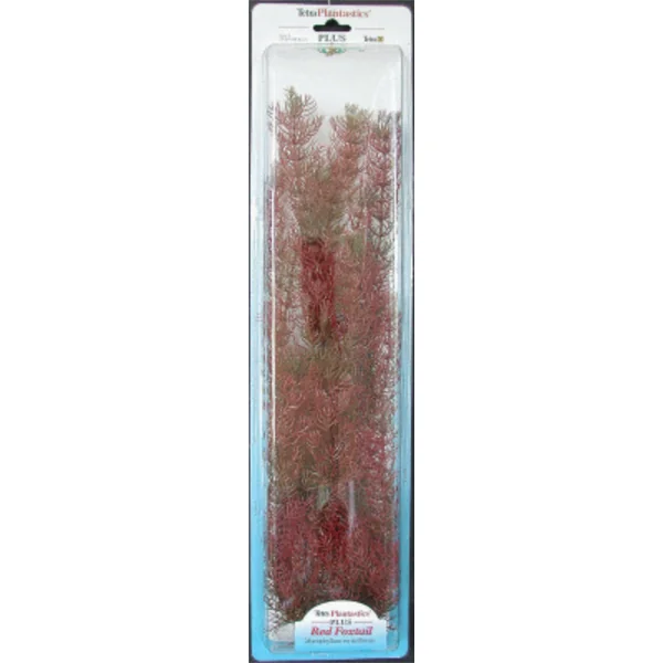 PLANTA FOXTAIL (28-33CM) ***