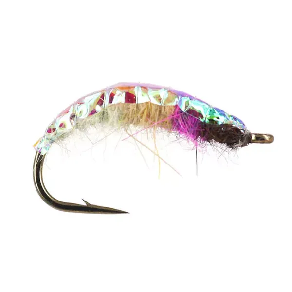 Rainbow Czech Nymph ninfa checa