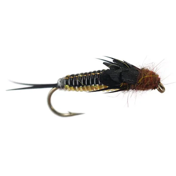 Rainbow Heavy Bodyglass Stonefly ninfa plecóptero