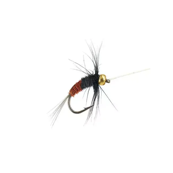 Rienz Premium BI Brown ninfa para cuerda