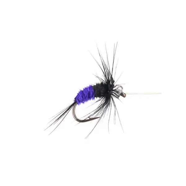 Rienz Premium BI Violet ninfa para cuerda