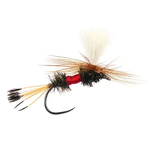 Royal Coachman Parachute BL mosca seca