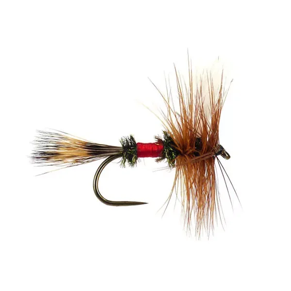 Royal Wulff BL mosca seca