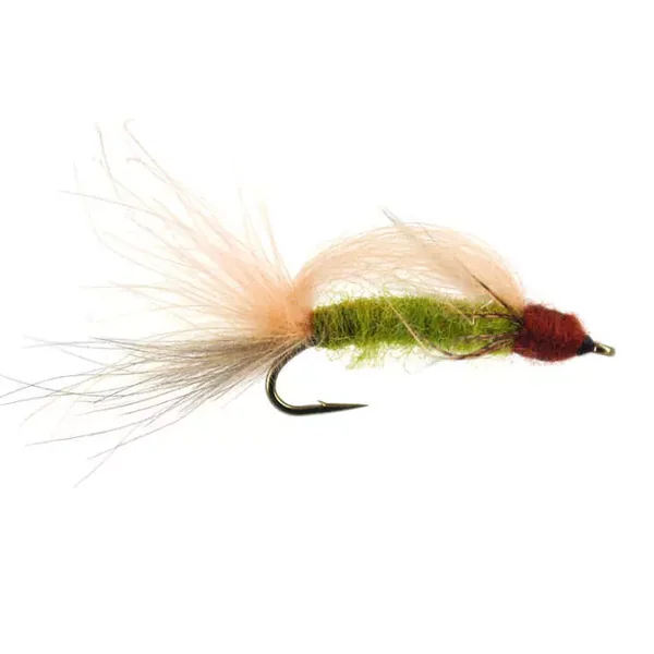 S6 Transition Caddis - Green mosca sedge