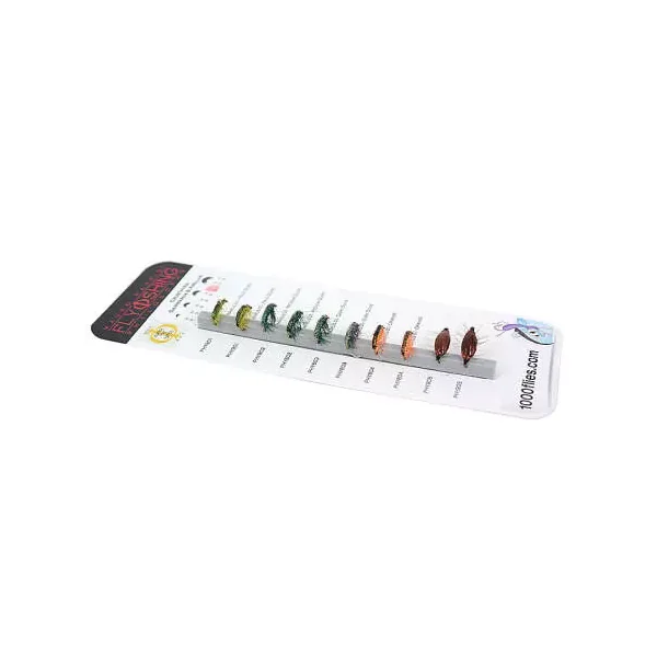 Set Crustacea (Gammarus & Asellus) - S - 10 moscas