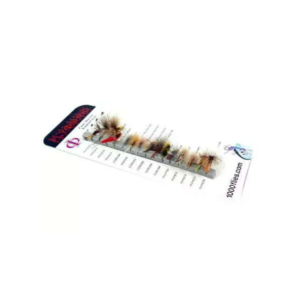 Set FAST WATER ESSENTIALS by Raspini - 15 moscas