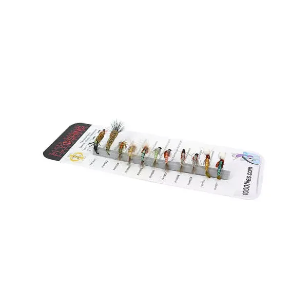 Set Trichoptera (Larve - Pupe - Emerger) - L - 11 moscas